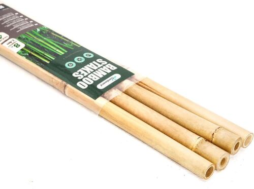 Cambaverd 8' Bamboo Garden Stakes, 4 pc - Lot 314