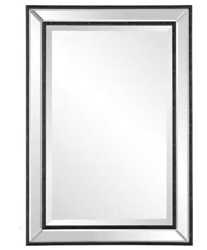 Home Decorators Collection 22 in. W x 32 in. H Rectangular Polystyrene Framed Wall Bathroom Vanity Mirror in Black - Lot 341