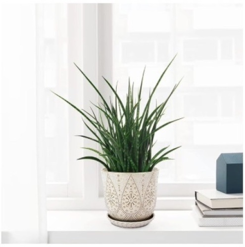 Gepege 8 Inch Plant Pot, Creamy White Ceramic Planter with Drainage Holes and Saucers for Plants Indoor and Outdoor Flower Pot - Lot 115