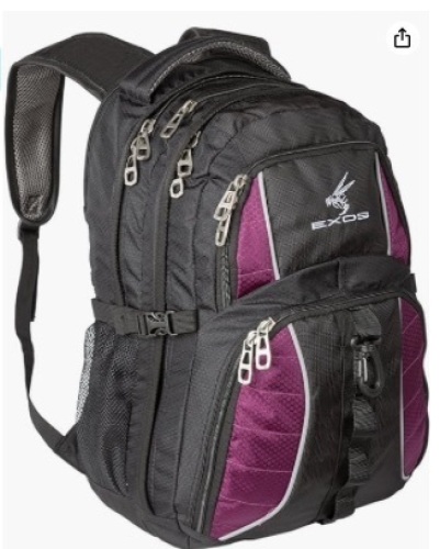 Exos Backpack, (Laptop, Travel, College, or Business) Urban Commuter - Lot 121