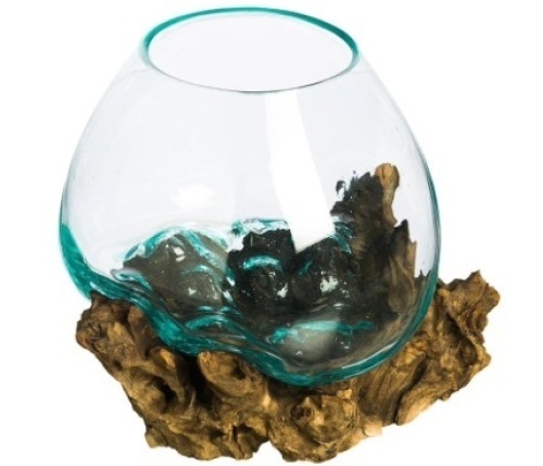 Glass On Natural Teak Driftwood Terrarium | Home Décor Indoor Planter with Stand | Pot for Succulent and Plants | Medium 10-Inches Tall - Lot 122