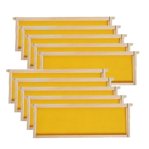MayBee Hives-Medium Super Beehive Frames and Foundations,10 Pack Honey Bee Frames with 100% Beeswax Coated Food Grade Foundation Sheets, 6-1/4-Inch (Yellow)   - Lot 581