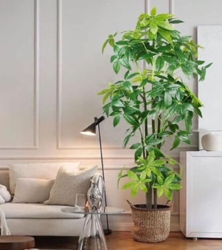 UAESIN 6.56Ft Fake Money Tree Faux Plants Indoor Tall Pachira Aquatica Artificial Plants with 31 Branches Fake Trees for Living Room Home Office Housewarming Gift Farmhouse Outdoor Decor $212.65 - Lot 457