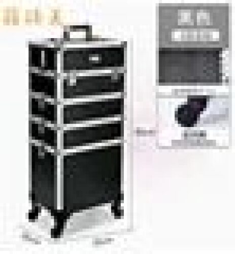 Makeup Eyebrow Tattoo Nail Beauty Salon Makeup Fixing Artist Storage Belt Trolley Travel Toolbox - Lot 9085