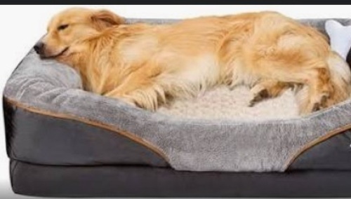 Large Memory Foam Dog Bed, Orthopedic Dog Bed & Sofa with Removable Washable Cover - Lot 238