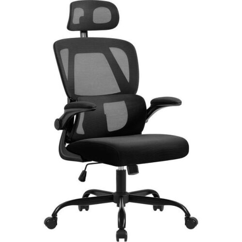 Ergonomic Office Chair  - Lot 110