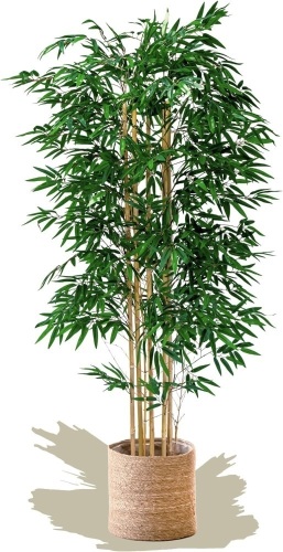 Maia Shop Bamboo, Artificial Tree with Natural Canes, Made with The Best Materials, Ideal for Home Decoration, Artificial Plant 6 feet Tall - 71 inches - Lot 901