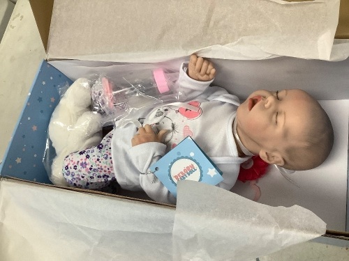 Reborn Baby Doll - Lot 1073