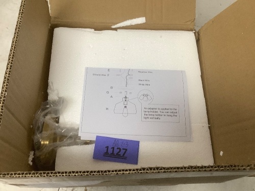 Hanging Light Fixture - Lot 1127