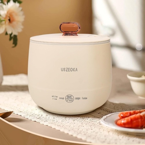 Portable Mini Rice Cooker for Travel - Stainless Steel Inner Pot, Multi-Function Design, Low Carb - Lot 1316