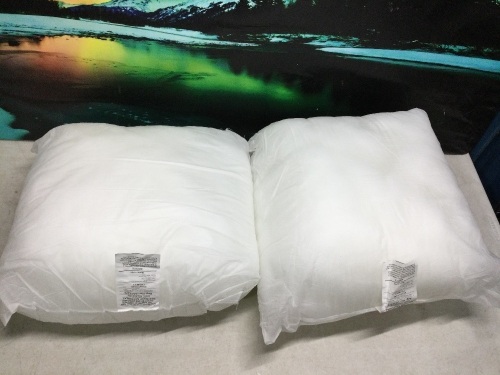 Lot of (2) Foamily Pillows, 18" x 18"  - Lot 865