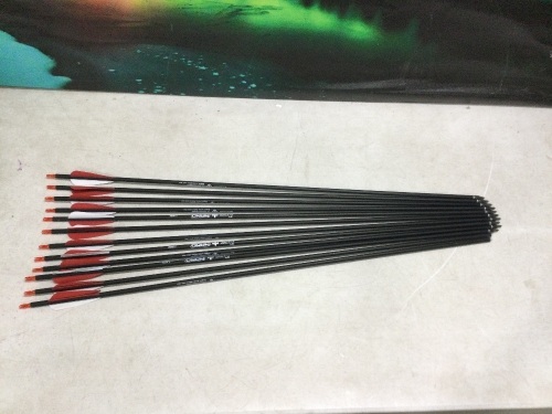 Elong Outdoor Arrows, 12 pc - Lot 1070