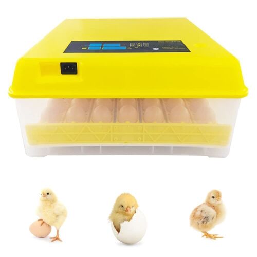 Digital Egg Incubator with Automatic Egg Turning and Temperature, Humidity Control  - Lot 427