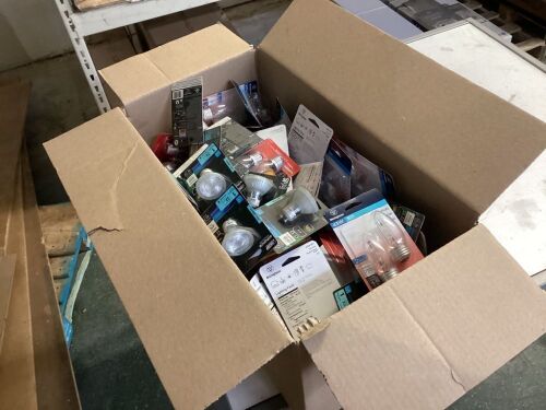 Large Lot of Light Bulbs  - Lot 661