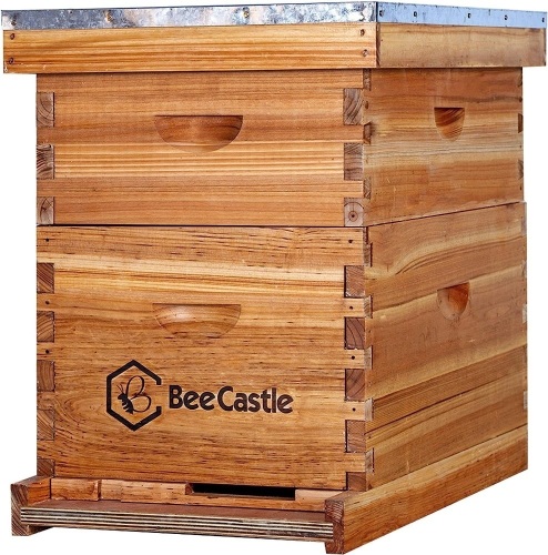 8 Frame Langstroth Bee Hive Coated with 100% Beeswax Includes Beehive Frames and Waxed Foundations (1 Deep Box & 1 Medium Box) - Lot 2124