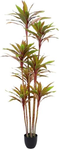 Waoops Artificial 6.3Ft Cordyline Fruticosa Tree in Pot  - Lot 559
