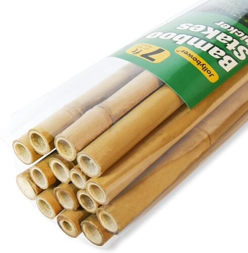 Jollybower 15pc 3/4" D Thick Heavy Duty Bamboo Stakes  - Lot 595
