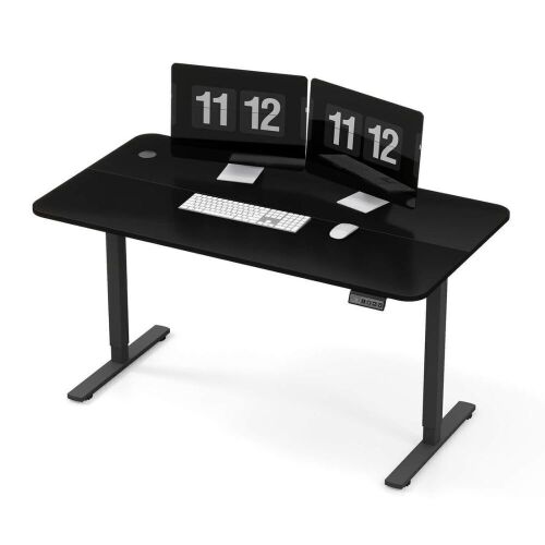 55" Electric Height Adjustable Standing Desk  - Lot 108