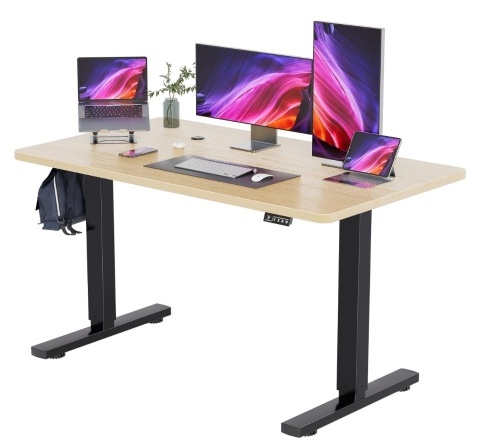 Electric Standing Desk, 55 x 24 Inches - Lot 103