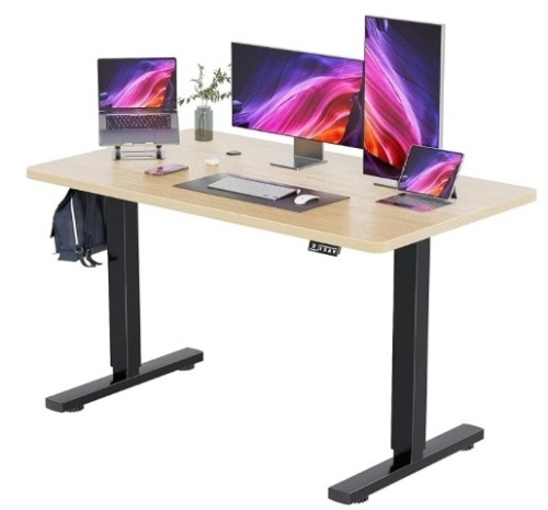 Electric Standing Desk - Lot 168