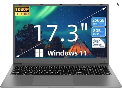 SGIN 17" Laptop, 8GB RAM 256GB SSD Notebook, 17 Inch Laptops with IPS Full HD, Intel Celeron N4020(Up to 2.8GHz), Mini HDMI, Webcam, Dual Wi-Fi, Expandable Storage 512GB TF(Gray) - Lot 91