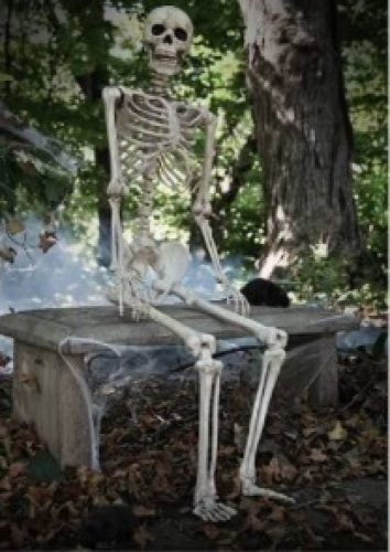 Seasons USA Skeleton Poseable Halloween Decoration - Lot 347