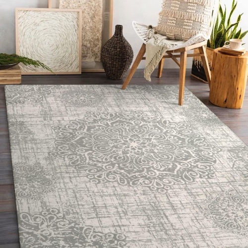 Lahome Vintage Machine Washable Rugs - 5x7 Area Rugs for Living Room Boho Non-Slip Throw Grey Bedroom Rug Low-Plie Large Office Dining Room Rug Distessed Floor Carpet for Entrance Kitchen Laundry - Lot 155a