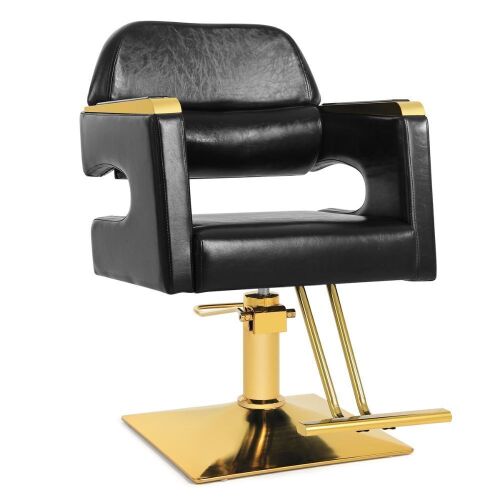 Artist Hand Prestige Gold Salon Styling Chair - Lot 64