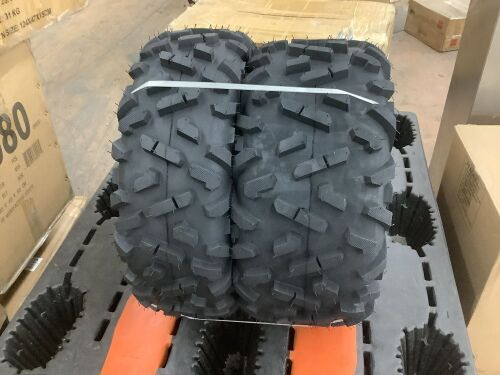Lot of (2) ATV Tires - 1 Front, 1 Rear  - Lot 380
