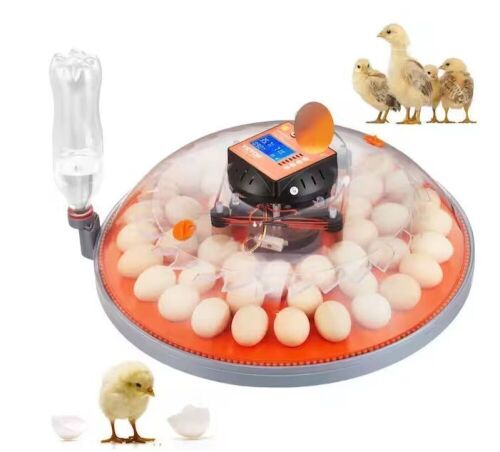 48-Egg Automatic Egg Turner Incubator, 20.7x20.3 inch - Lot 72