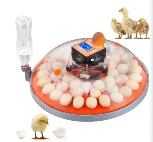 48-Egg Automatic Egg Turner Incubator, 20.7x20.3 inch - Lot 158