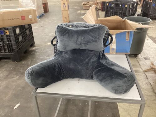 Reading Pillow  - Lot 539