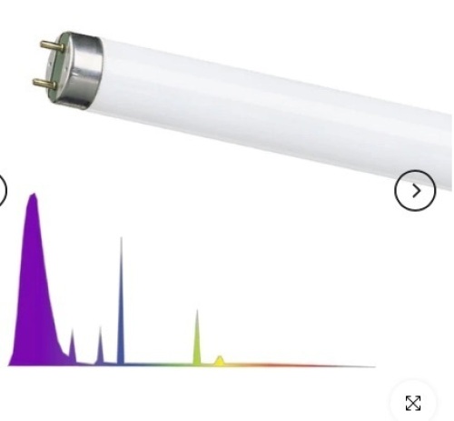 MIGRO UVB 310 fluorescent tube - Lot 594