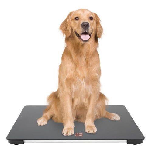 Large Pet Scale  - Lot 478