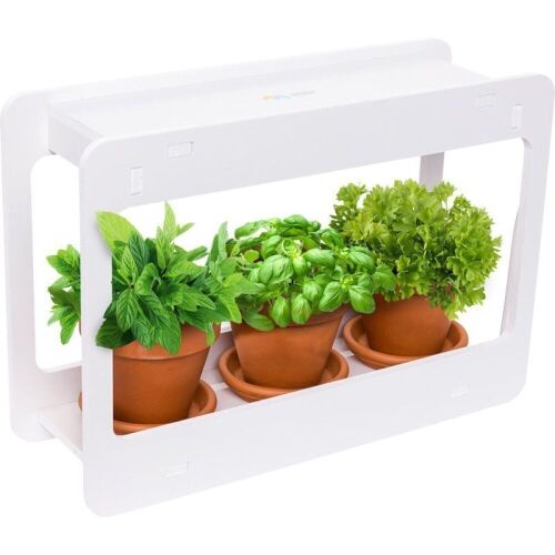 Mindful Design Narrow Spectrum LED Indoor Herb Garden Mini Window Planter Kit - Lot 251