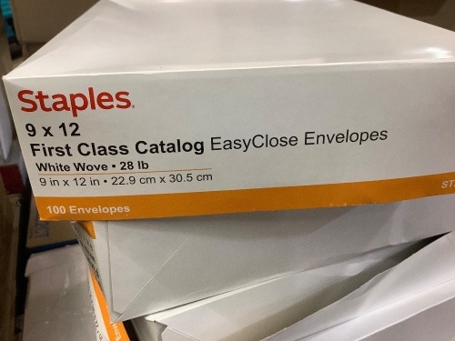 Box of 100 9x12 first class catalog easy close envelopes - Lot 446