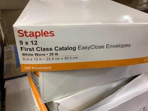 Box of 100 9x12 first class catalog easy close envelopes - Lot 448
