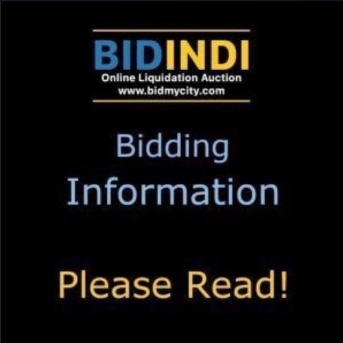 BIDDING INFORMATION - PLEASE READ! - Lot 2