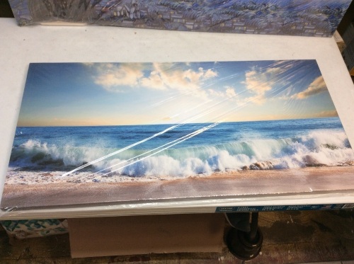 Ocean Canvas Wall Art. 20" x 40". Appears New - Lot 656
