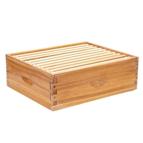 Honey Lake 10 Frame Medium Super Bee Hive Box - Lot 738