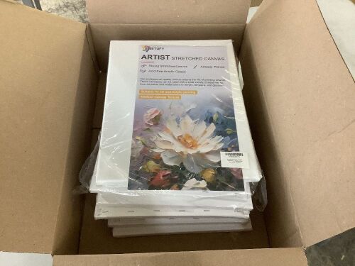 Stretched White Canvas 11" x 14", 10 Pack  - Lot 287