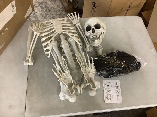 Skeleton  - Lot 168