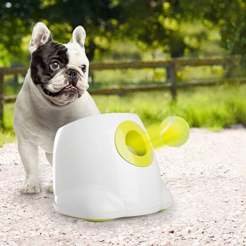 ALL FOR PAWS Dog Automatic Ball Launcher - Lot 9220
