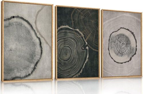 Ausril Tree Ring Framed Canvas Wall Art, Set of 3 - Lot 539
