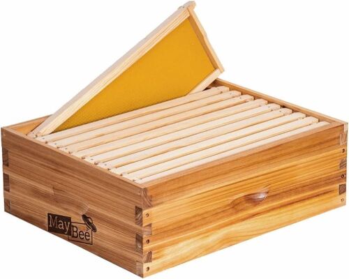 10-Frame Beehive Box includes Wooden Frames & Waxed Foundations  - Lot 739