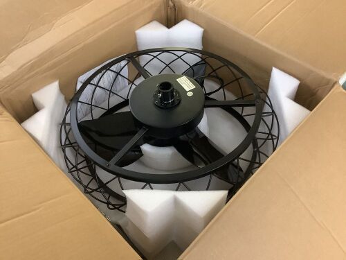 Ceiling Fan with Lights - Lot 34