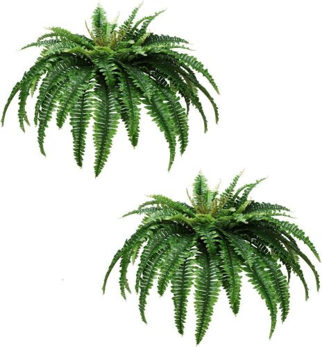 Artificial Boston Fern 38", 2 Pack  - Lot 375