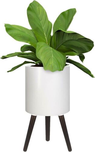 12" Plant Pot with Stand  - Lot 119