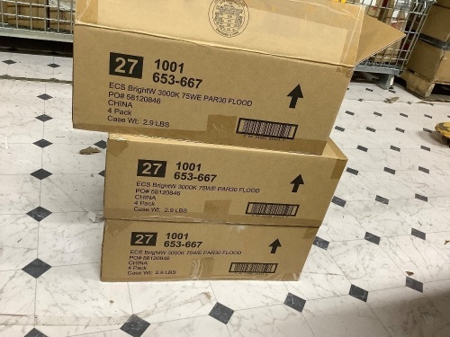 3 cases 75w ecosmart led light bulbs-total 24 bulbs total - Lot 156