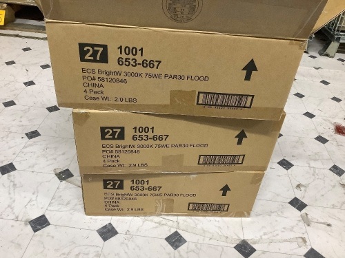 3 cases 75w ecosmart led light bulbs-total 24 bulbs total - Lot 159